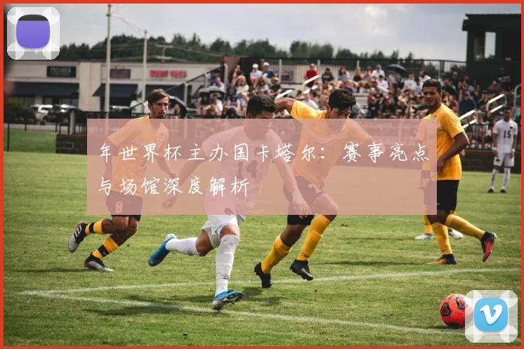 年世界杯主办国卡塔尔:赛事亮点与场馆深度解析