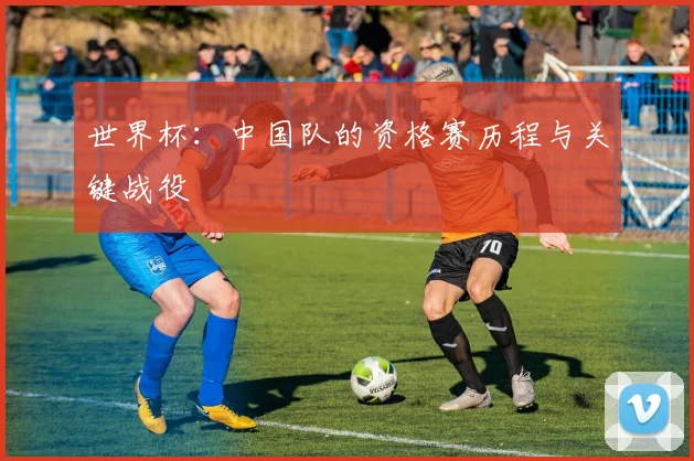 世界杯：中国队的资格赛历程与关键战役